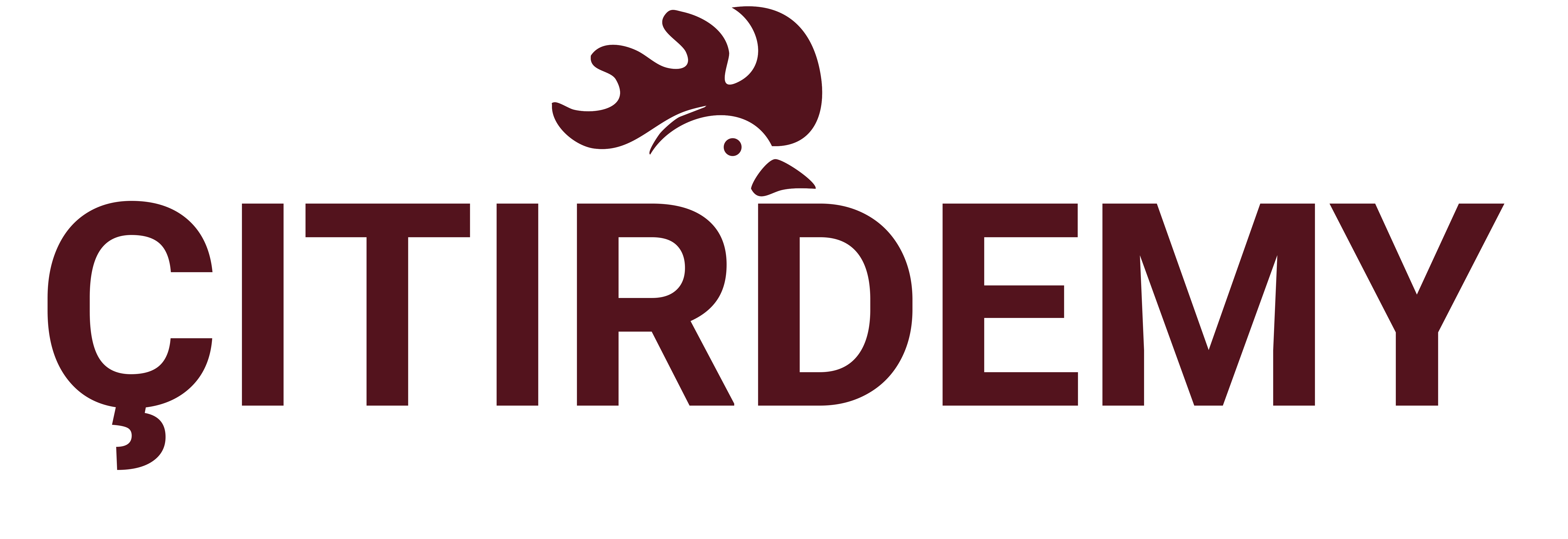 Çıtırdemy Logo